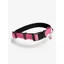LeMieux Henley Webbing Dog Collar Watermelon